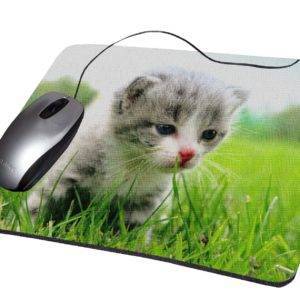 Tapis souris